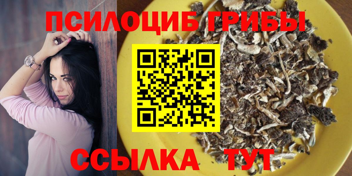 Псилоцибиновые грибы MAGIC MUSHROOMS  Вход с VPN  как найти   Темрюк 